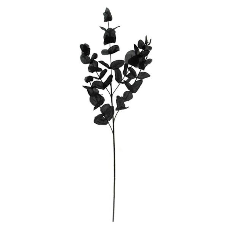 Black Eucalyptus Spray, 31″ | At Home
