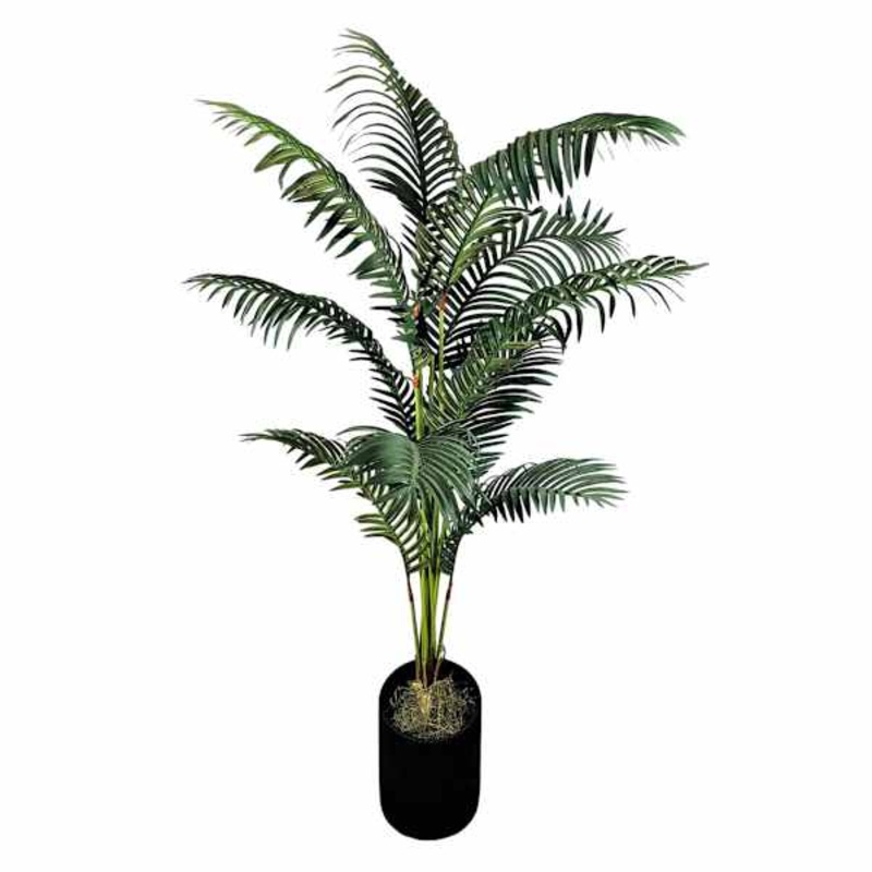 Dark Green Palm Plant in Black Slant Pot, 5′