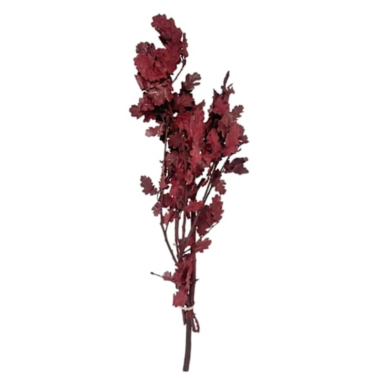 Dried Burgundy Oak Leaves Bundle, 28″
