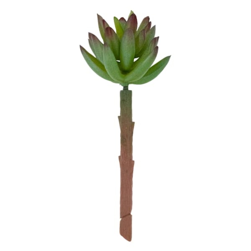 Green Succulent Pick, 5.5″