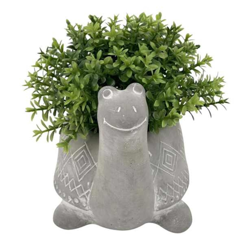 Greenery in Snail Pot, 4″