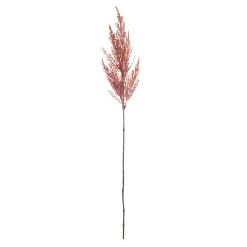 Light Pink Pampas Grass Stem, 32″