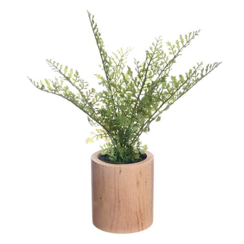 Maidenhair in Wooden Pot, 10″