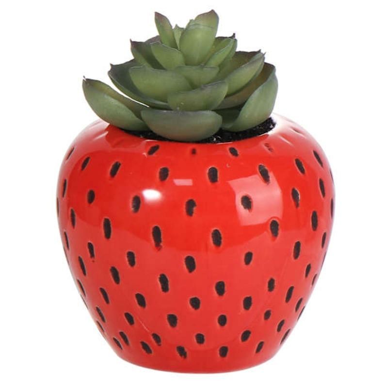 Mini Succulents in Red Strawberry Pot, 4.8″