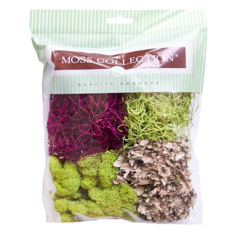 Moss Variety Pack, Small