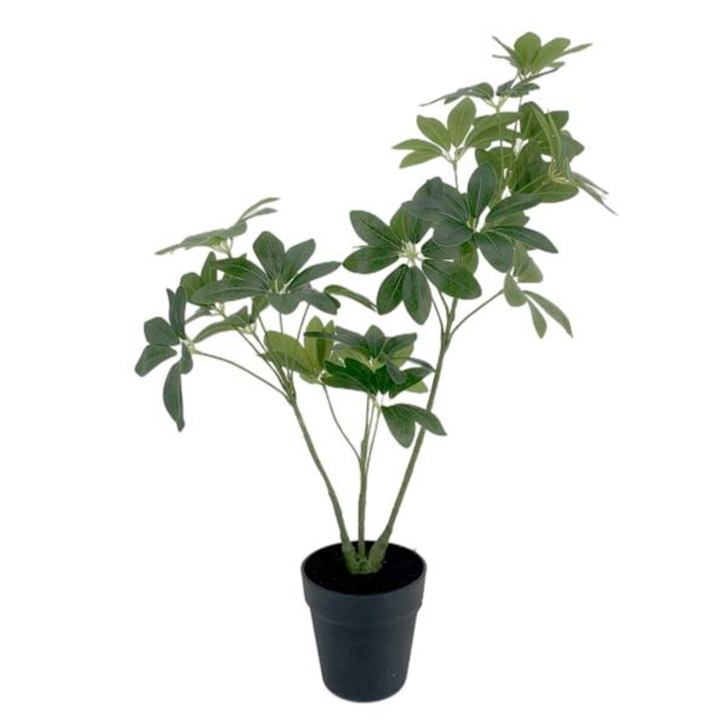 Outdoor Rated Schefflera Arrangement, 29″