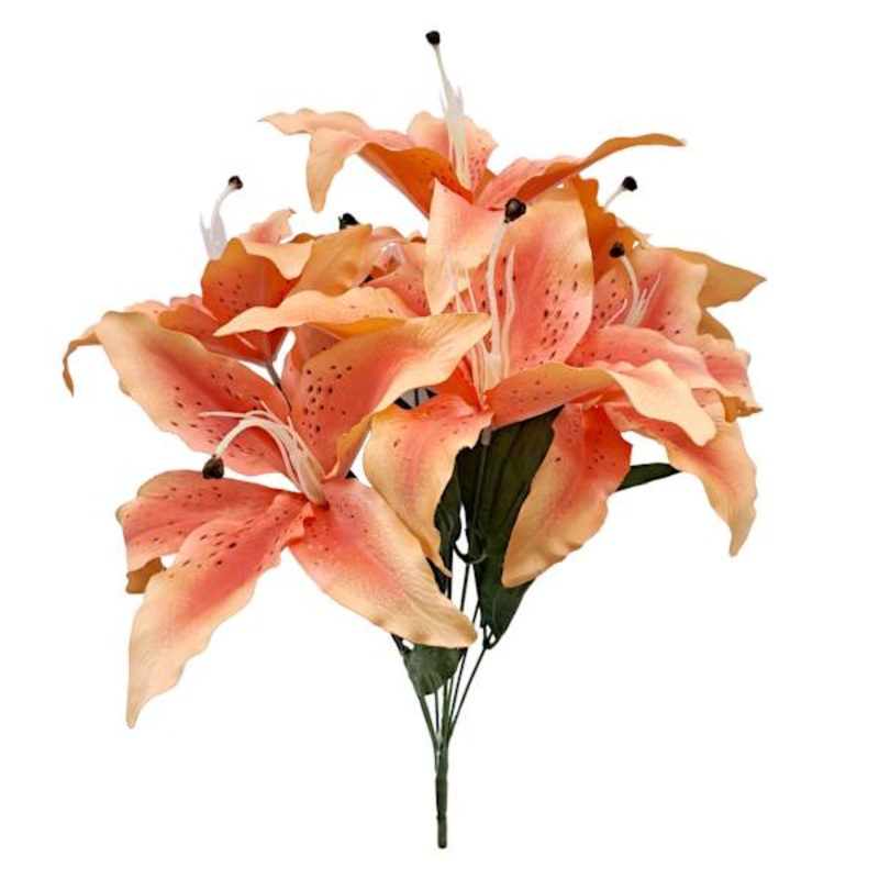 Peach Tiger Lily Bush, 19″