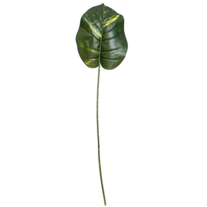 Philodendron Stem, 35″
