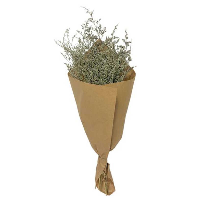 Willow Crossley Caspia Bundle in Natural Paper, 2oz