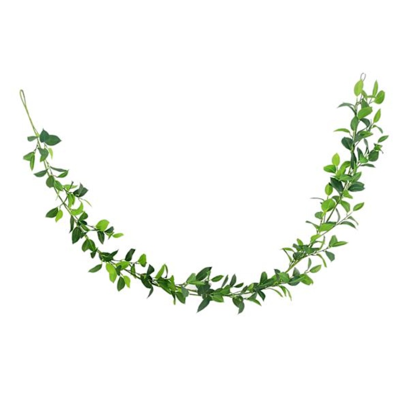 Willow Crossley Ruscus Leaf Greenery Garland, 6′