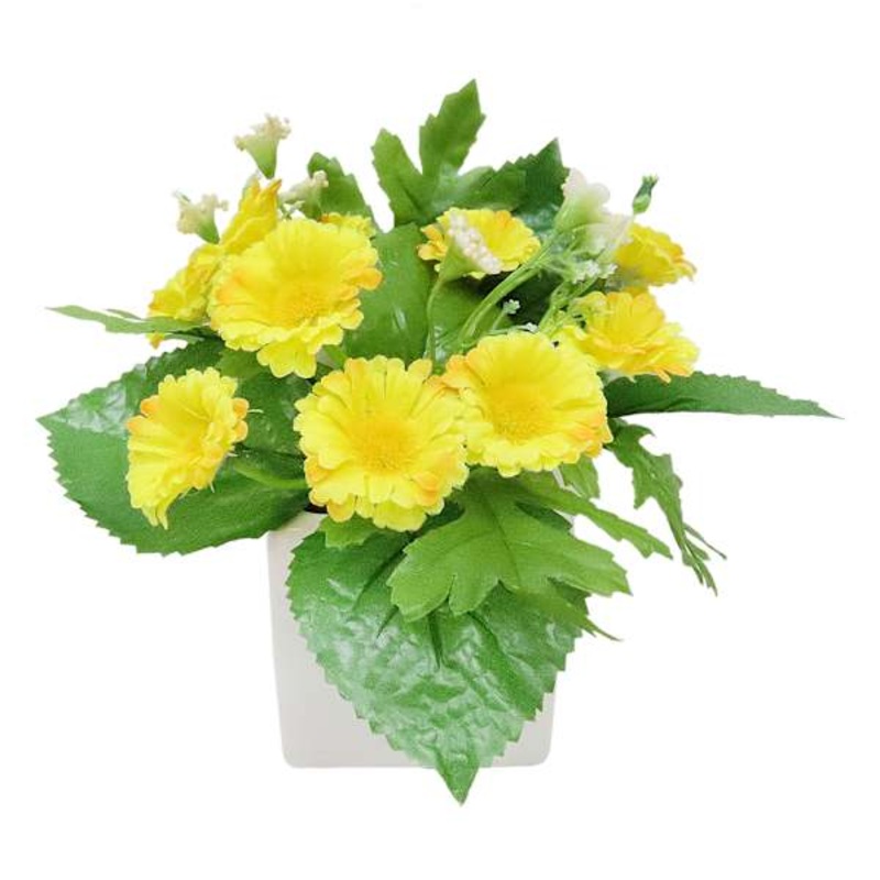 Yellow Daisies in White Ceramic Pot, 7″