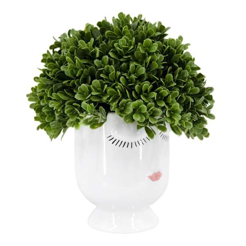 Boxwood in Face Vessel, 9″