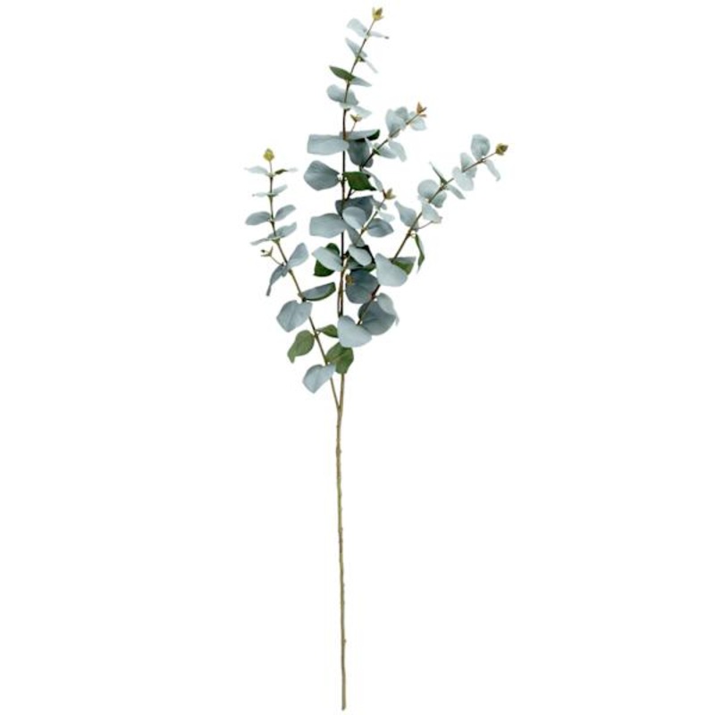 Eucalyptus Stem, 42″