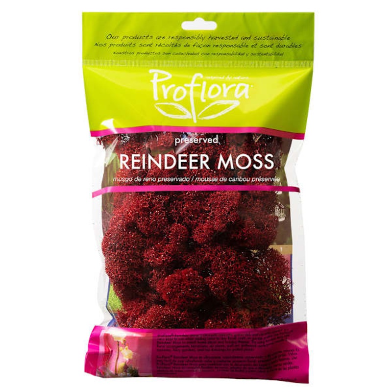 Glittered Red Reindeer Moss