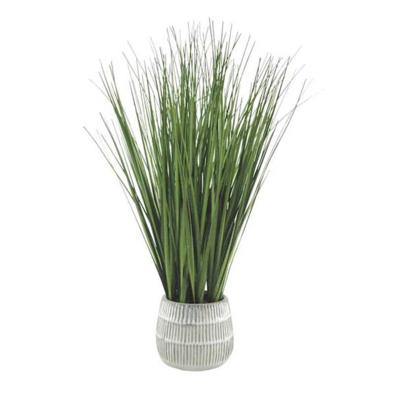 Grass Plant with Ceramic Planter, 19.5″