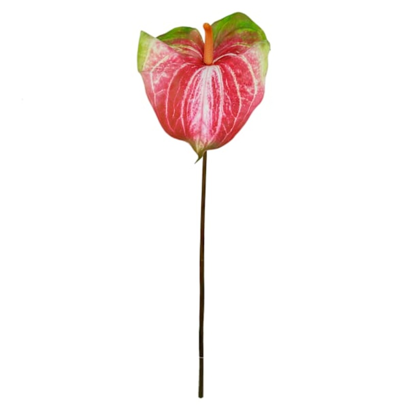 Green & Pink Anthurium Stem, 33.5″