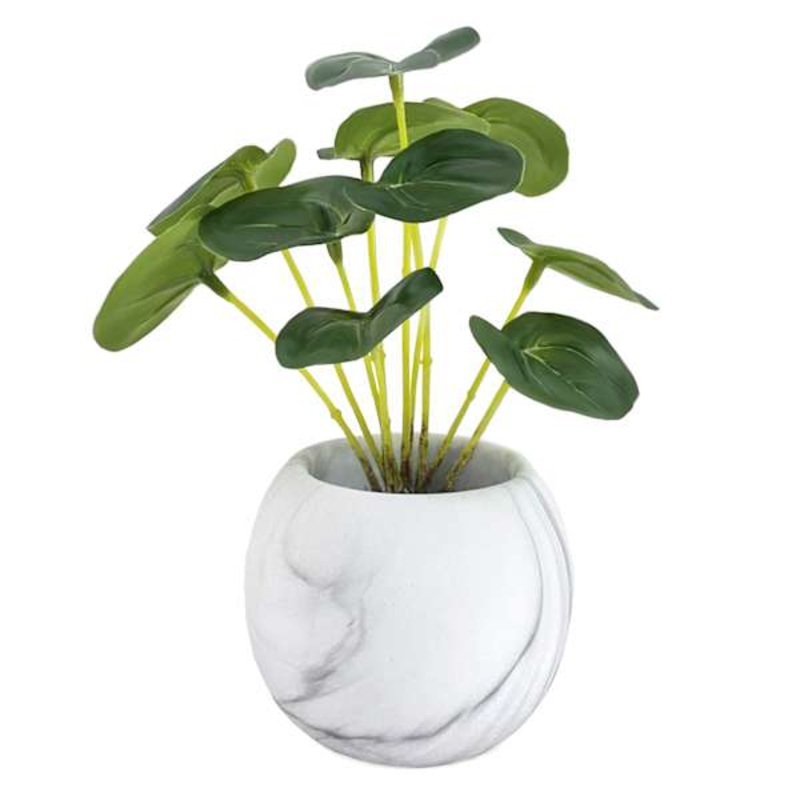 Greenery in White Cement Pot, 7″