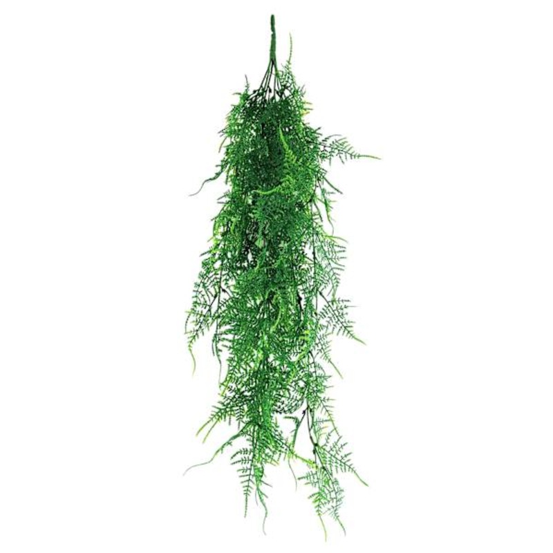 Hanging Fern Plant, 33″