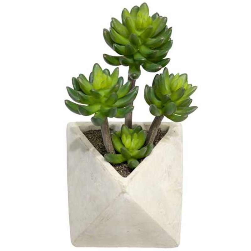 Mini Agave with White Triangular Planter, 12″