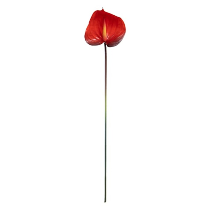 Red Anthurium Stem, 27″