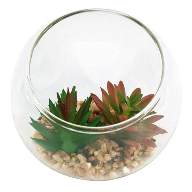 Red & Green Succulents in Glass Bowl, 4.8″