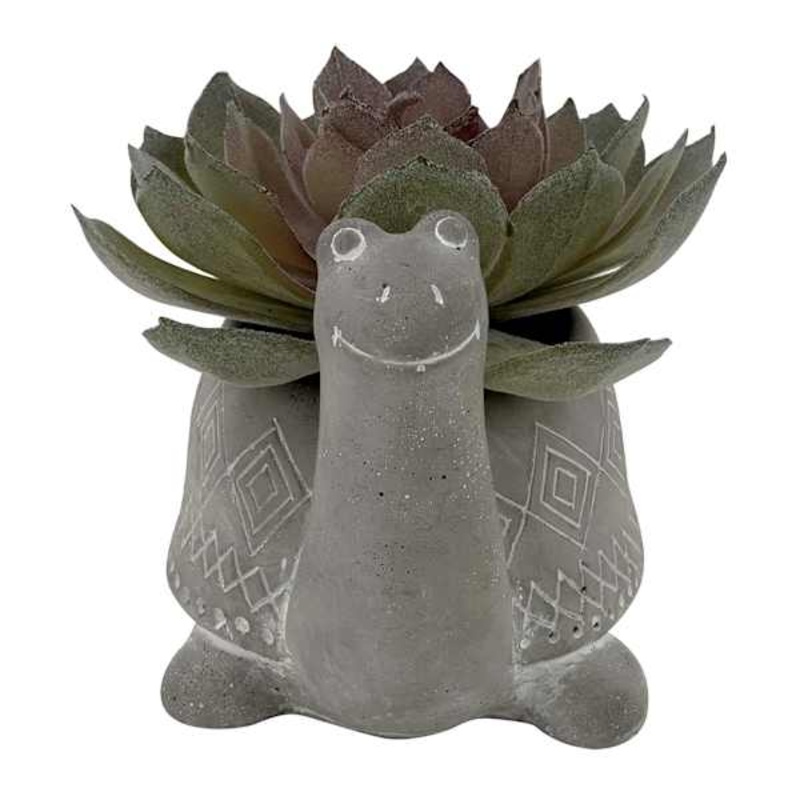 Succulent in Pot, 4″