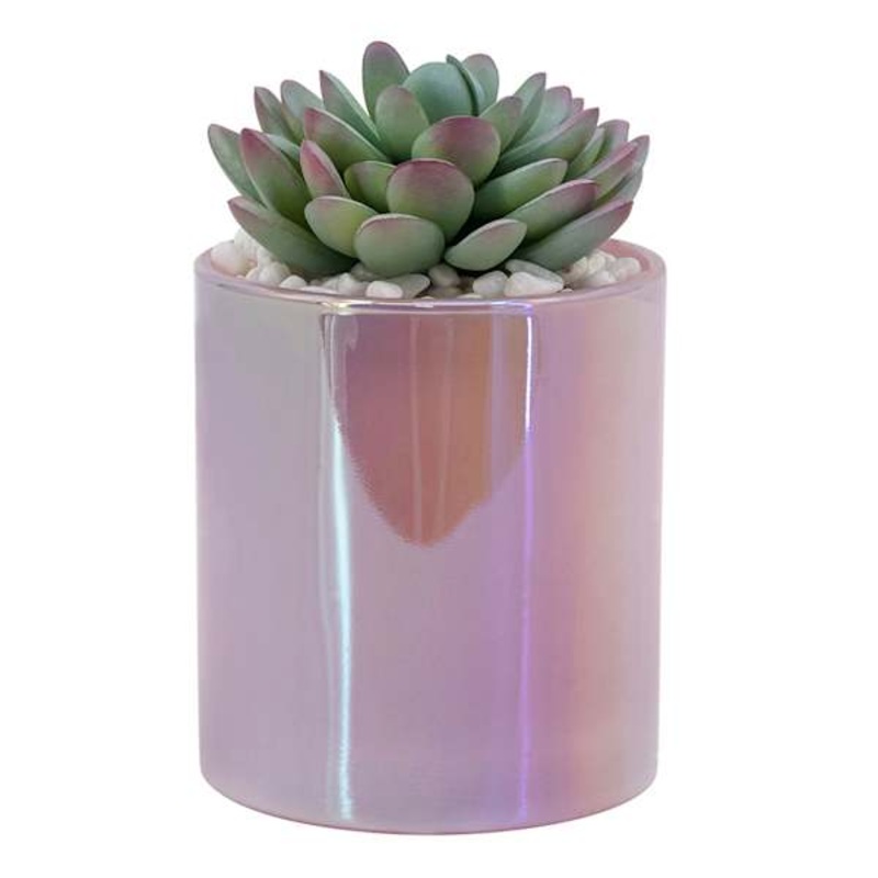 Succulents in Iridescent Purple Glass Vase, 5″