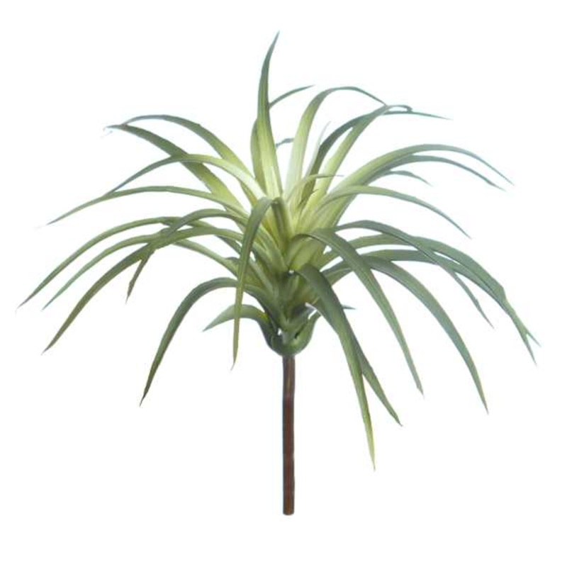 Tillandsia Pick, 7″