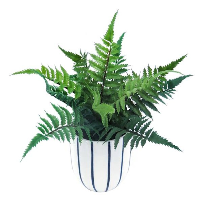 Ty Pennington Leather Leaf Fern in Ceramic Pot, 11″