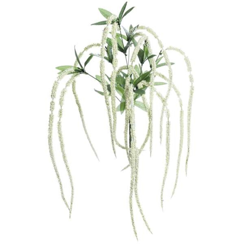 Amaranthus Hanging Bush, 32″