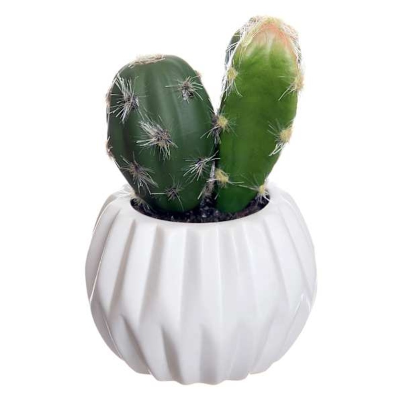 Cactus in White Ceramic Pot, 4.5″