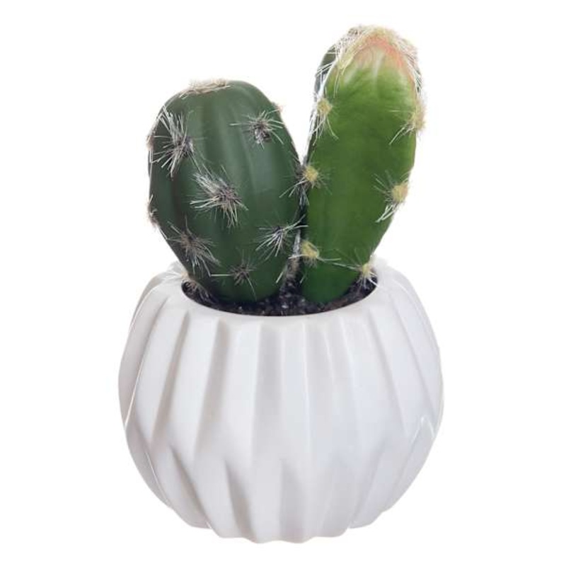 Cactus with White Ceramic Planter, 4.5″