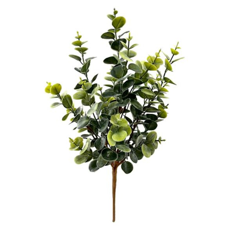 Eucalyptus Bush, 16″
