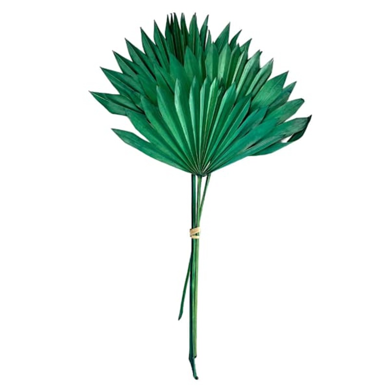 Green Sun Spear