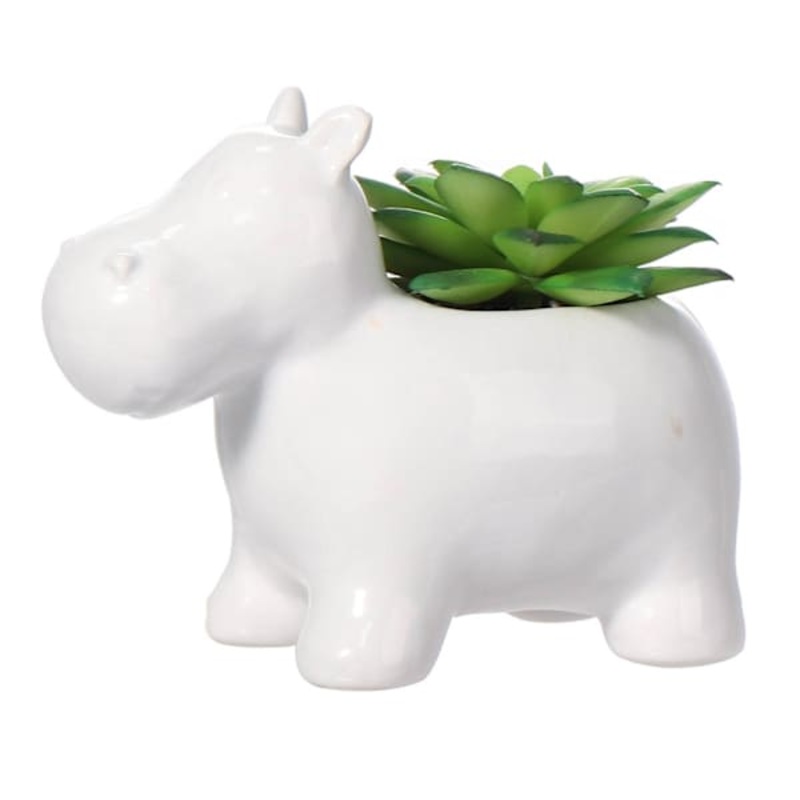 Mini Succulents in Ceramic Animal Pot