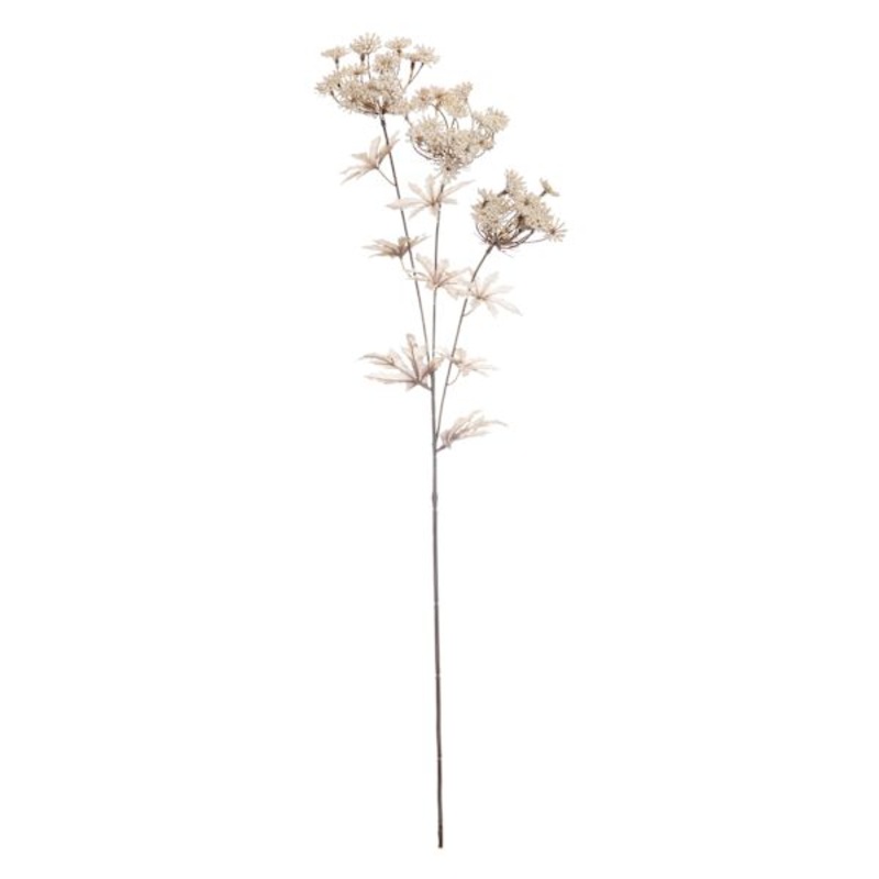Natural Queen Anne’s Lace Floral Spray, 30″