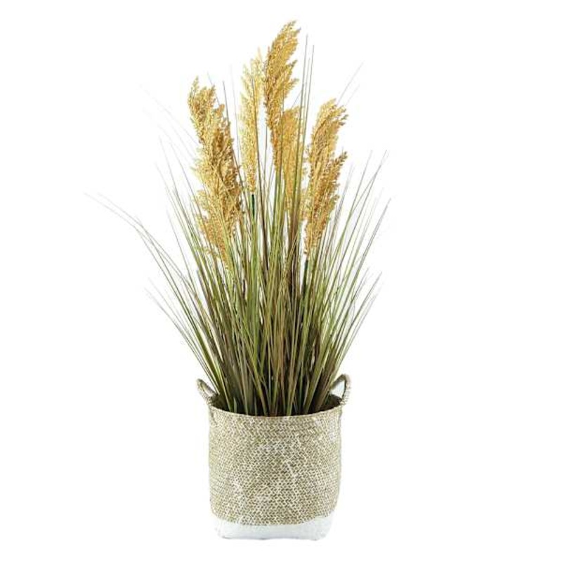 Onion Grass in Woven Basket, 38.5″
