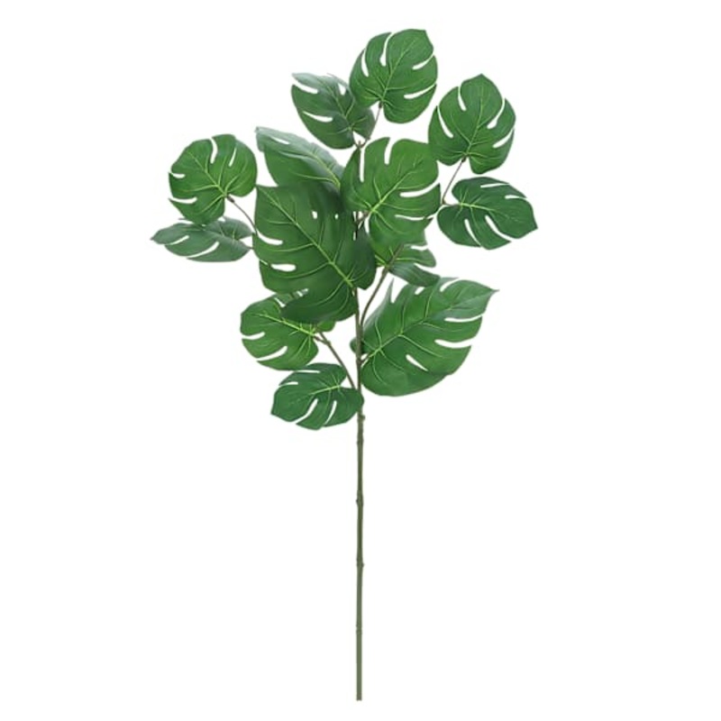 Philo Leaf Stem, 29″