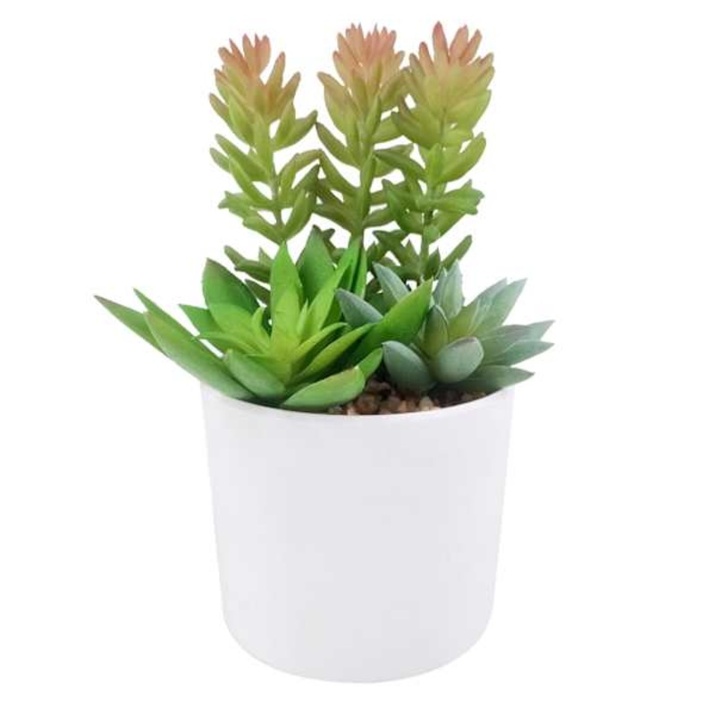 Succulent Arrangement in Melamine Pot, 5.75″
