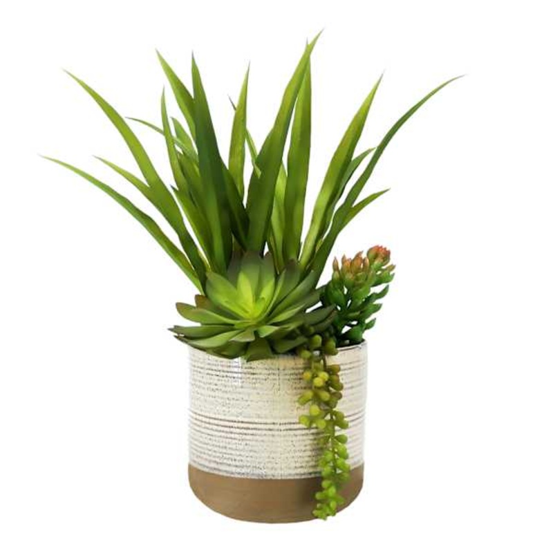 Succulent with Grass in Ceramic Planter, 17″