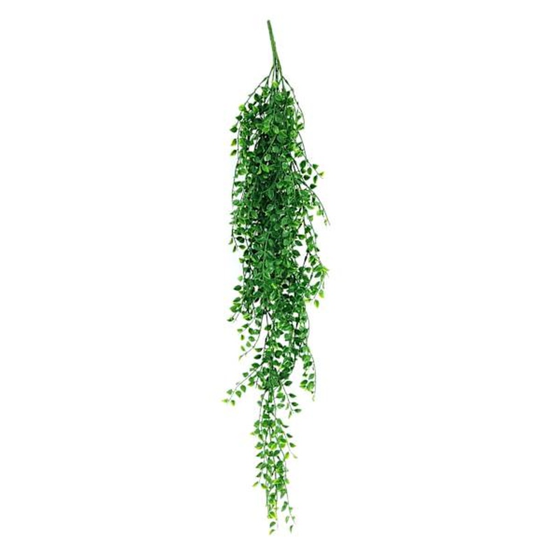 Tea Leaf Hanging Bush, 35″