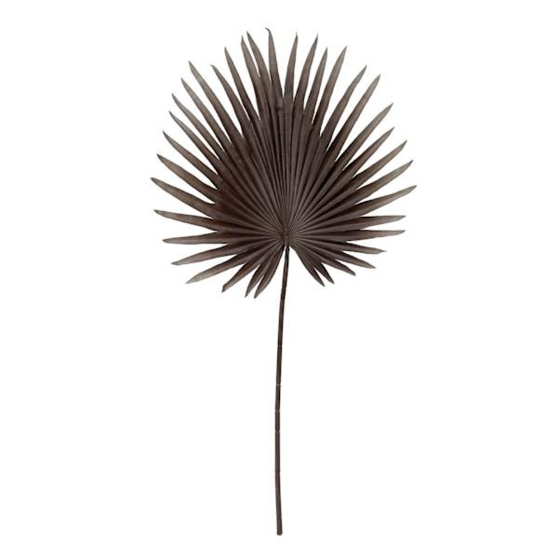 Tracey Boyd Dark Coffee Fan Palm Stem, 35″