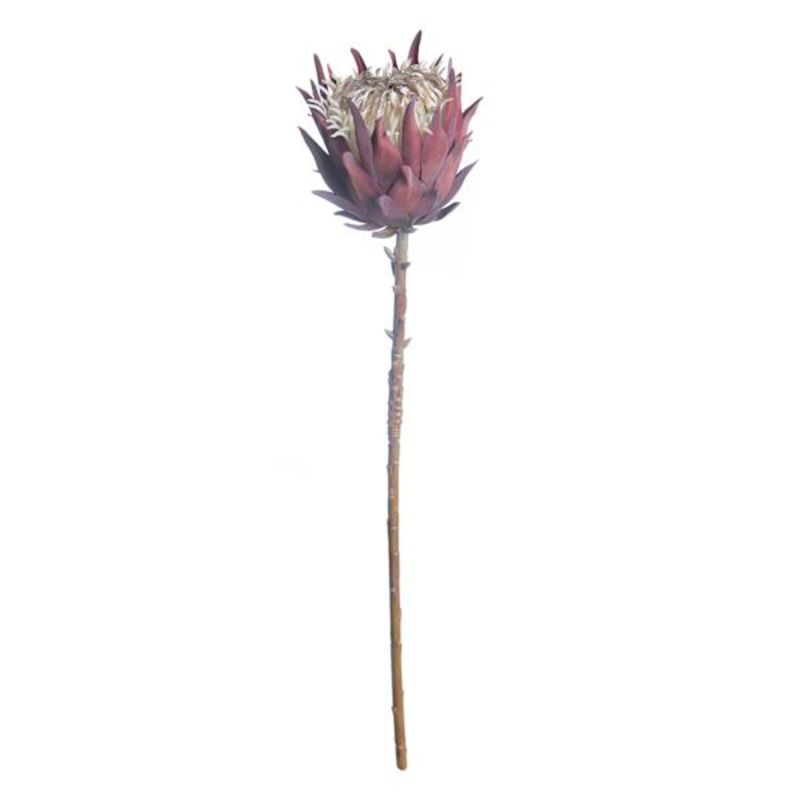Tracey Boyd Pink Protea Stem, 27″