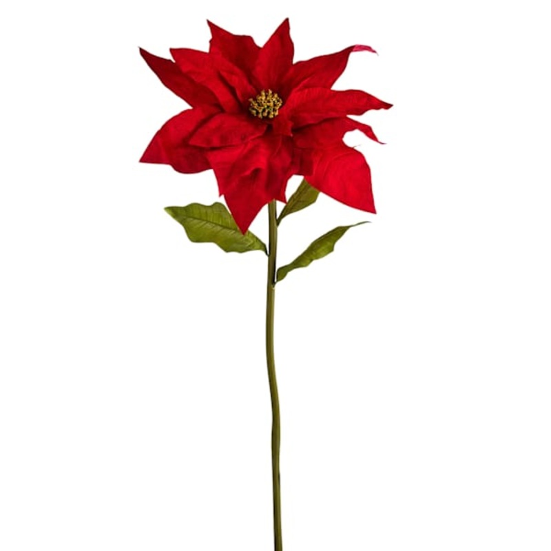 54In Red Poinsettia