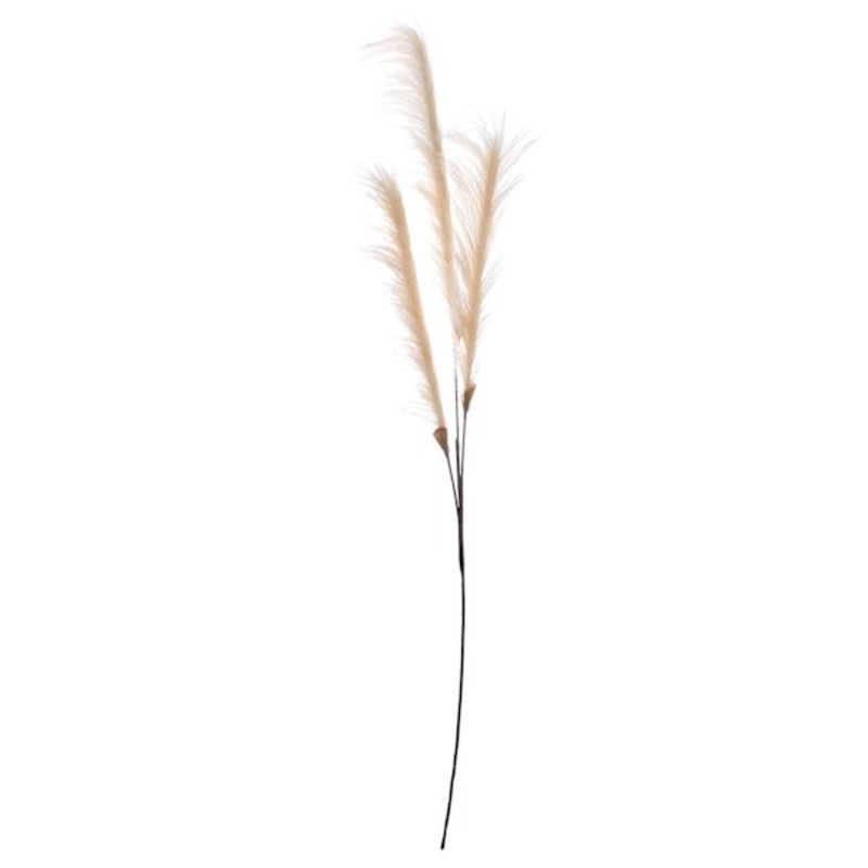 Cream Pampas Grass Spray, 48″