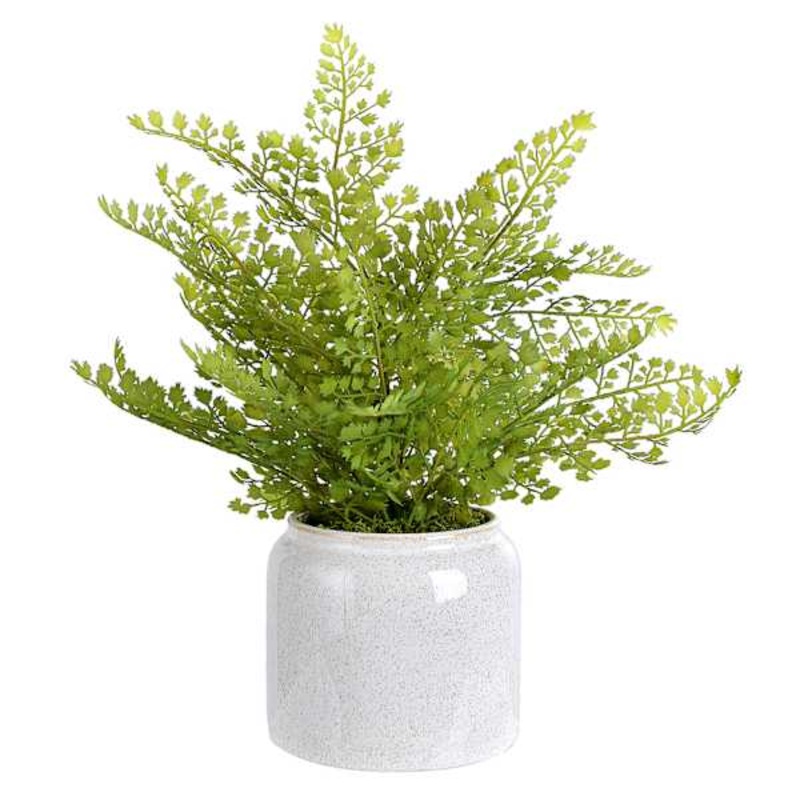 Fern Arrangement in Ceramic Pot, 15″