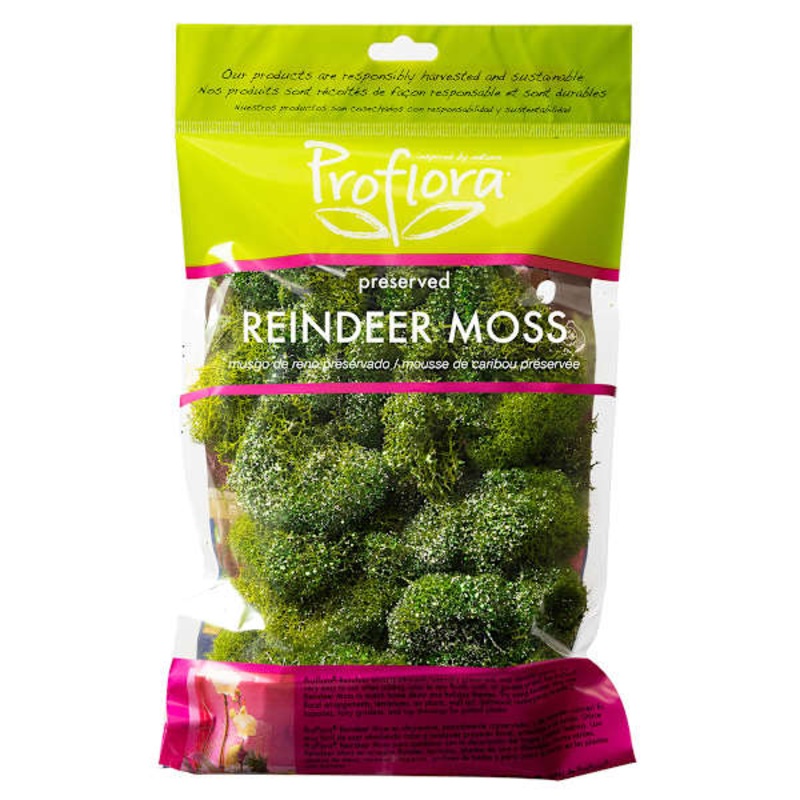 Glittered Apple Green Reindeer Moss