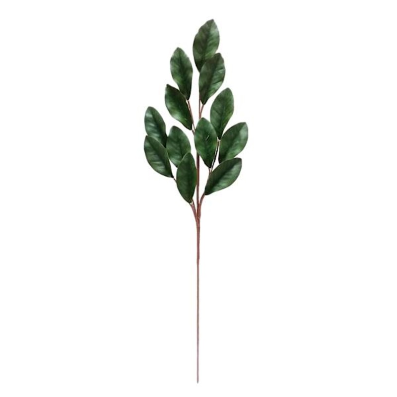 Green Magnolia Leaves Stem, 34″
