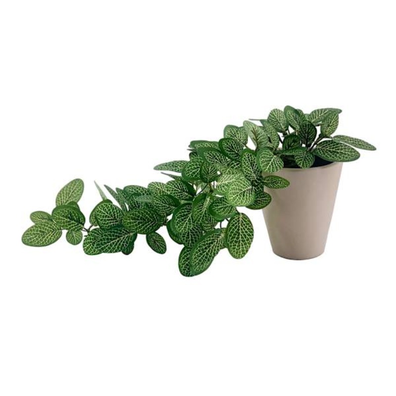 Ivy in Cement Pot, 13.8″