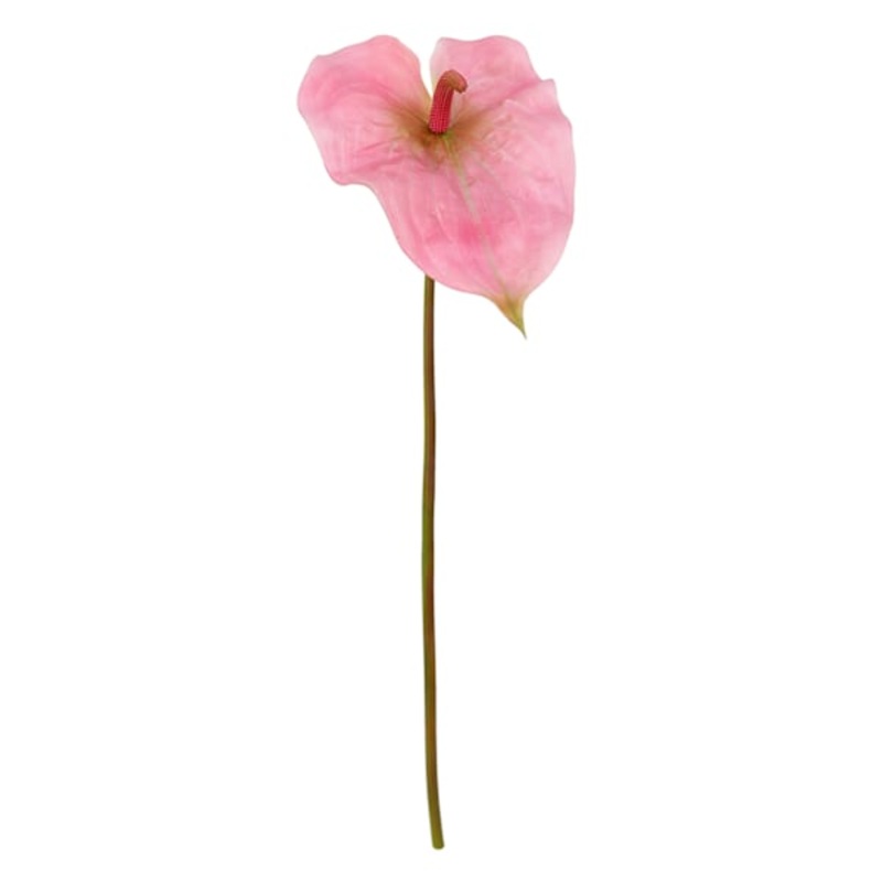 Pink Anthurium Stem, 27.5″